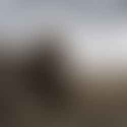 Le tir longue distance : compétence réelle ou
illusion de contrôle?