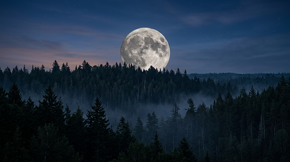 La lune et le chevreuil : un mythe enfin
confronté aux données.
