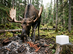 Sel vs minéraux: la vérité qui dérange