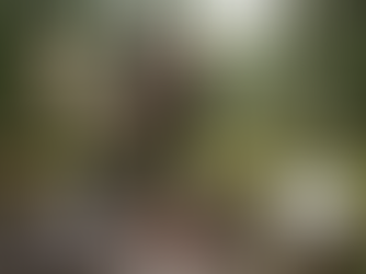 Sel vs minéraux: la vérité qui dérange