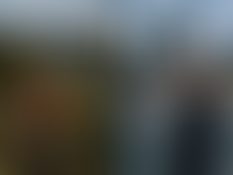 Un programme déconnecté du terrain - Le programme de rachat des armes à feu