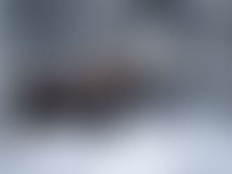 Les salines d'hiver: un rôle souvent sous
estimé, mais crucial