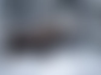 Les salines d'hiver: un rôle souvent sous
estimé, mais crucial