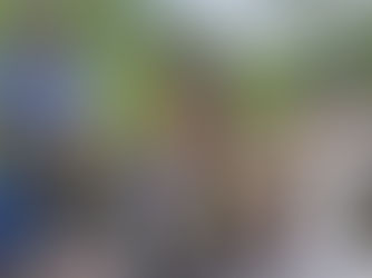 NOTRE GUIDE DES FILS DE PÊCHE : Comprendre, choisir et performer