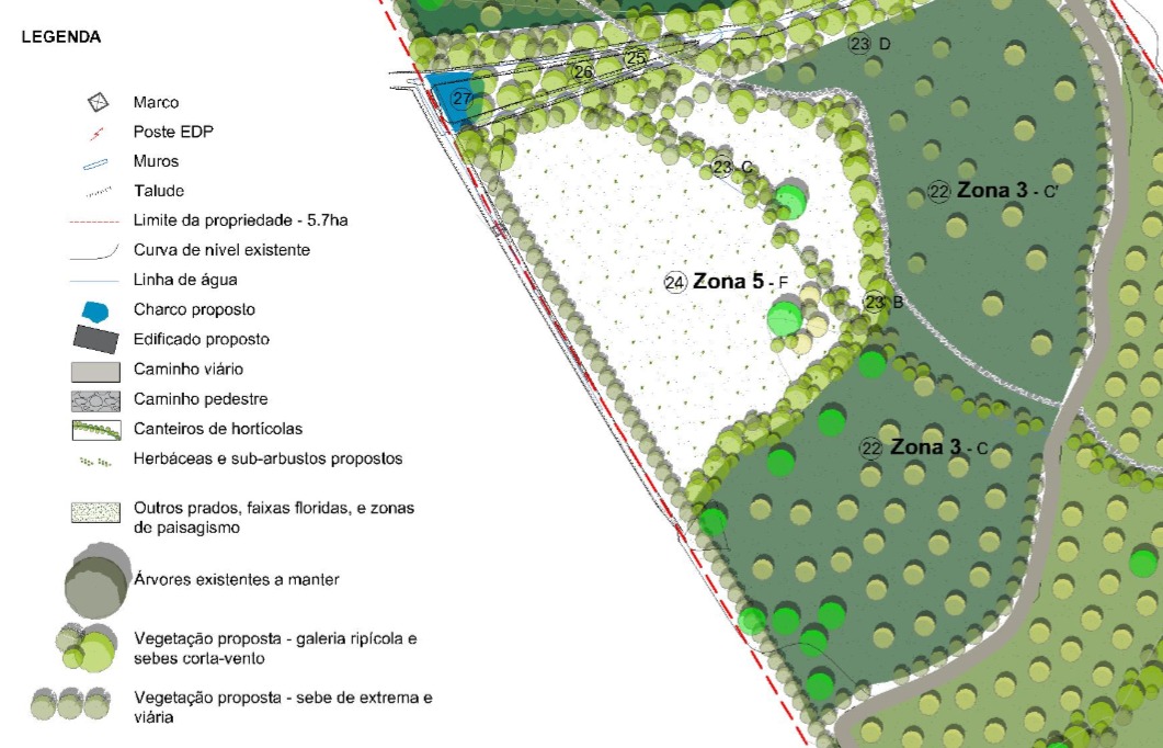 Zoom na Zona 5 F: são 3.900 m2 que vão ajudar a regular as dinâmicas hídricas deste território, rumo à zona húmida.