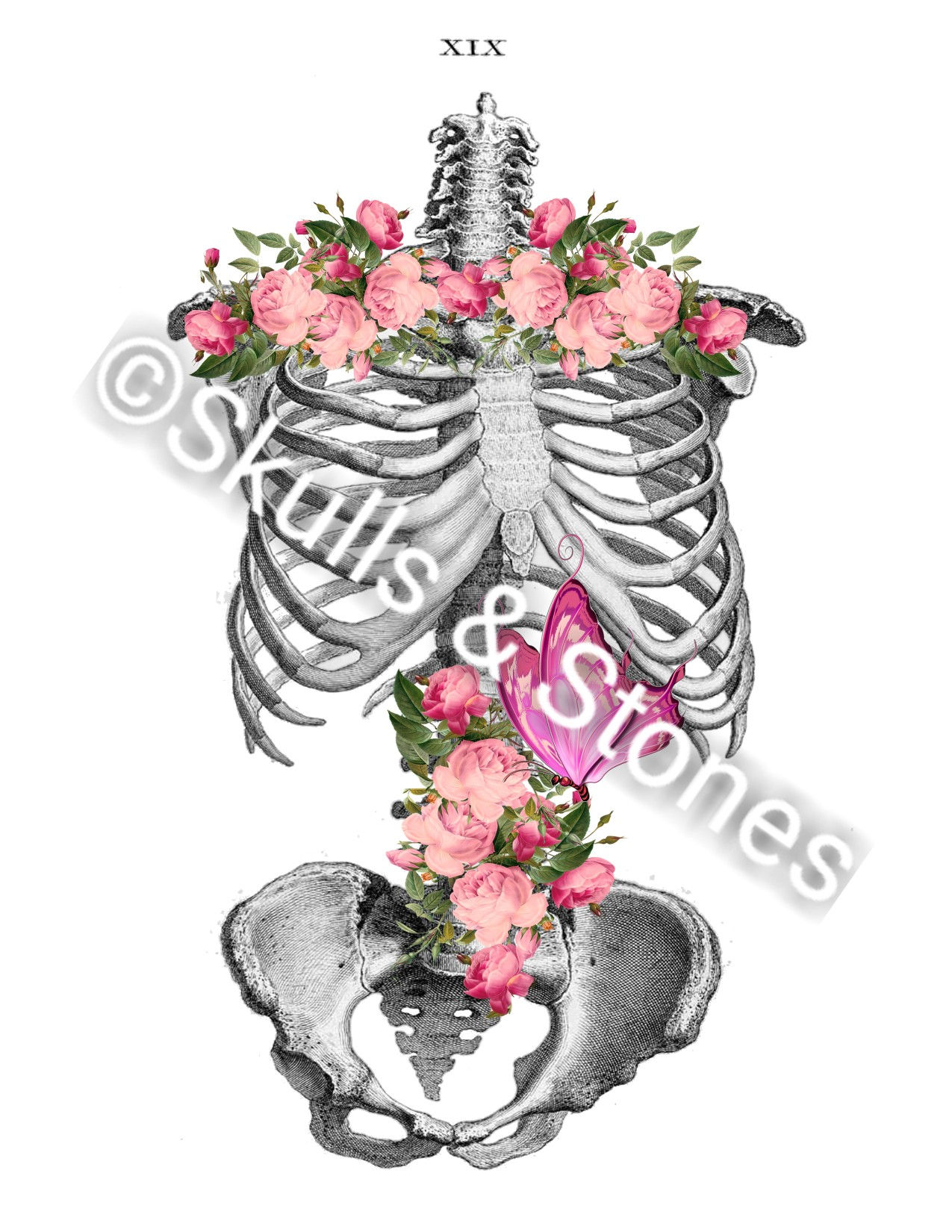 Skeleton Torso & Flowers Print - Matted