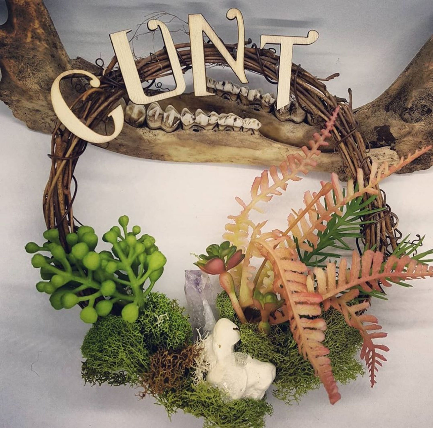 6" Cunt Grapevine Wreath with Bone, Amethyst & No Kill Succulents 