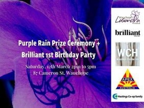 Purple Rain Prize Ceremony and Brilliant 1st Birthday Party