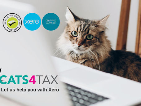 XERO accounting software for your small business
