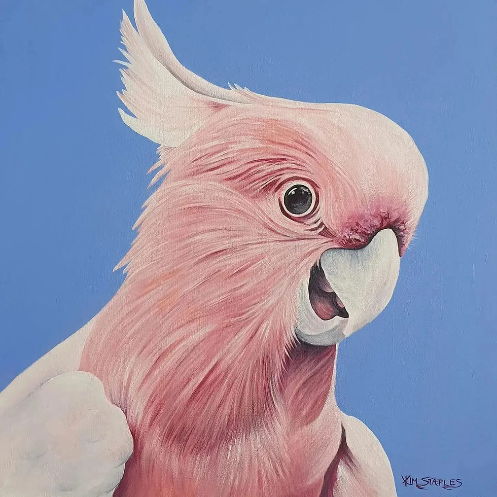 Thumbnail: Greeting cards from Kim Staples Art