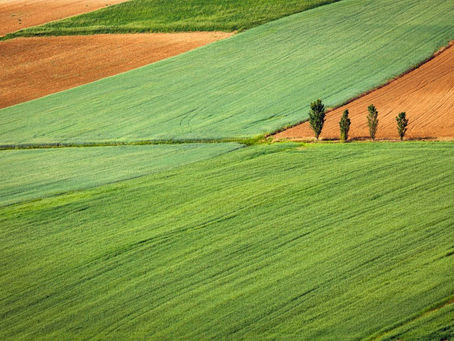 Sulphate of Potash (SOP) : An Agricultural Phenomenon within the Mining Industry