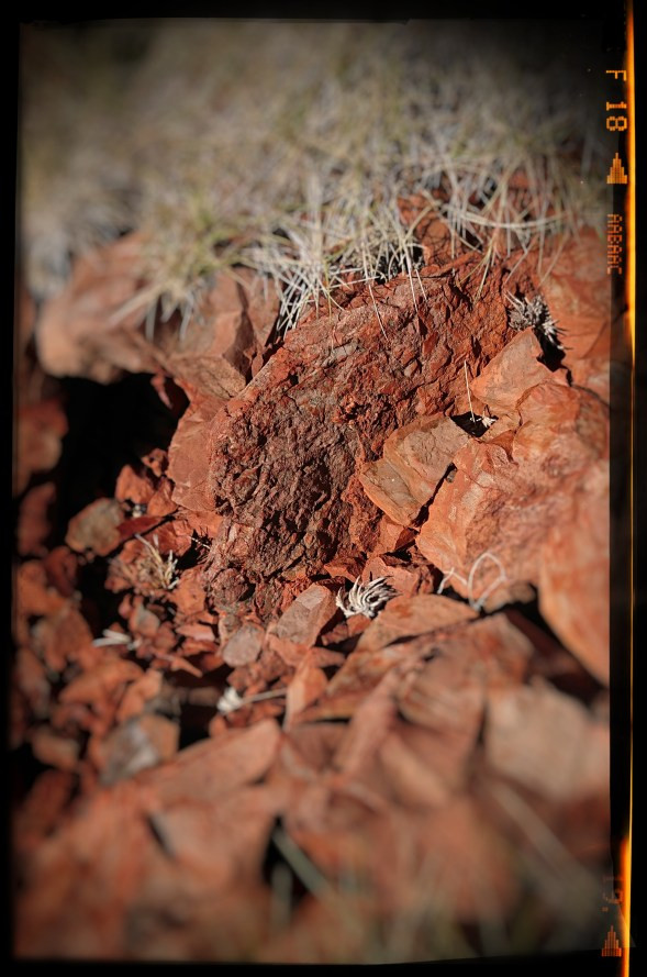 A sub-vertical looking rock unit.