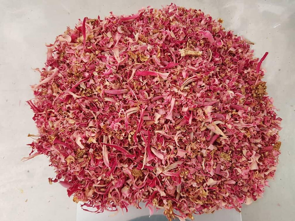 Thumbnail: My Blue Tea Torch Ginger Flower 50g | My Blue Tea