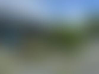 Accomplished Tree Management explains tree hazard management after a storm