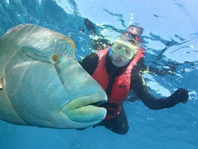 Travel Therapy for People with Disability