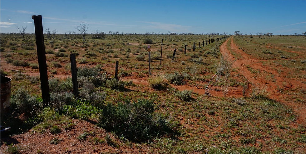 Challenger West project Taiton_edited.jpg