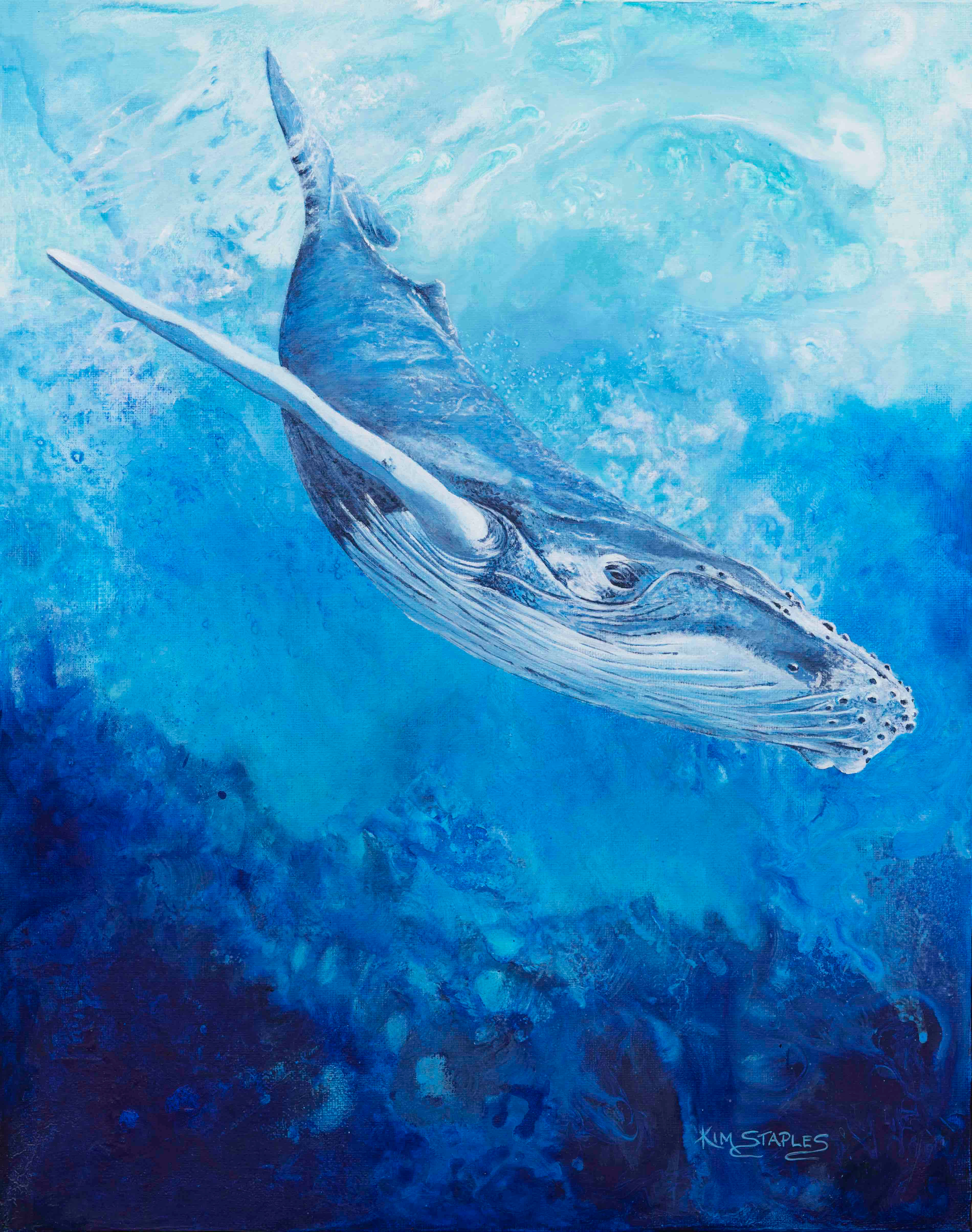 Bluey Baby Humpback by Kim Staples Art | Whale Collection