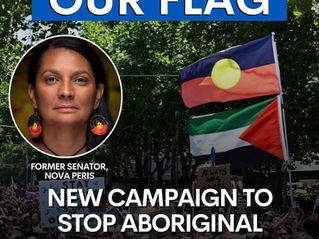 Stop using our flag