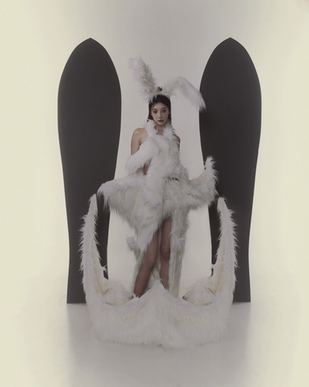 Thesis Look5