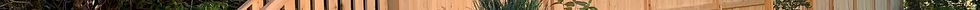 IMG_0663.JPEG