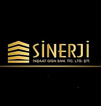 sinerji.jpg