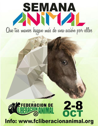 Cali tendrá la Semana y marcha Animal en conmemoración del día mundial de los animales