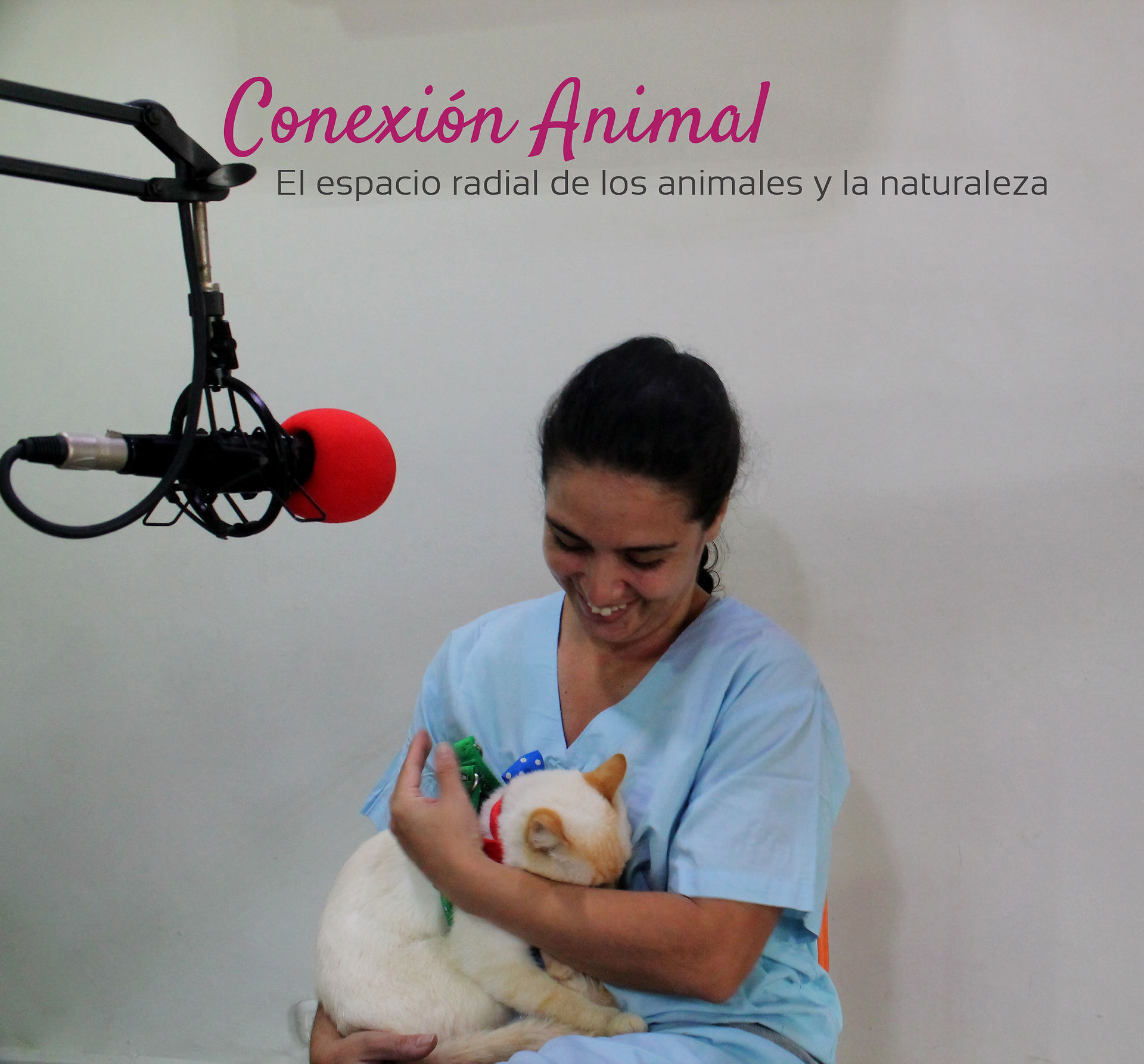 Conexión Animal