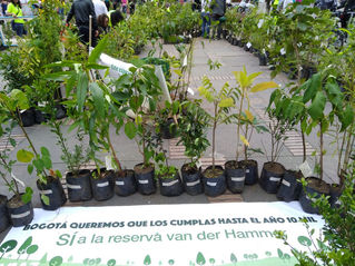 Bogotanos se unieron para regalar un árbol a la reserva Van Der Hammen, pero, la Alcaldía se negó a