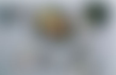 10 Impressive Health Benefits of Coconut Oil