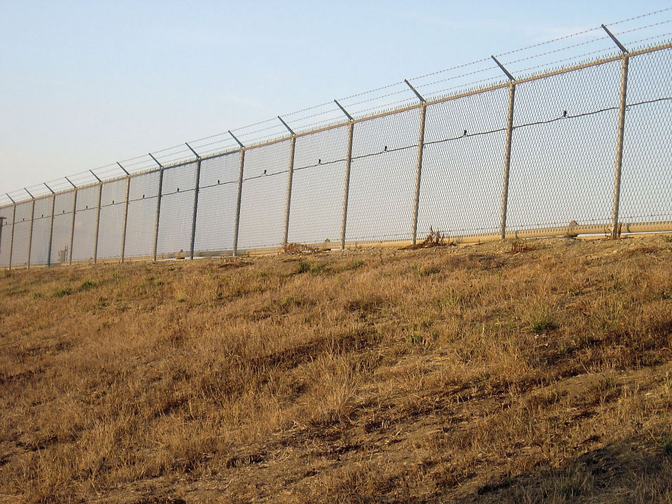 Perimeter Solutions
