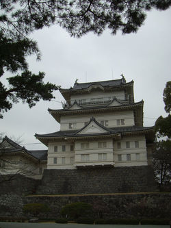 1002 Japan Trip Feb 3-14,Odawara Castle