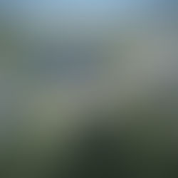 Why Your Strathcona Taxes Went Up and What We Can Do