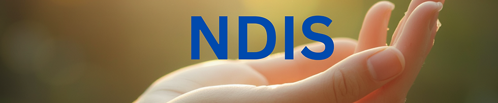 NDIS-small.png