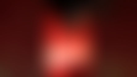 Elég a bevándorlásból! Elég a globalista elitből! / Stop immigration! Stop the globalist elite!