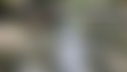 Vizes képzési hétvége