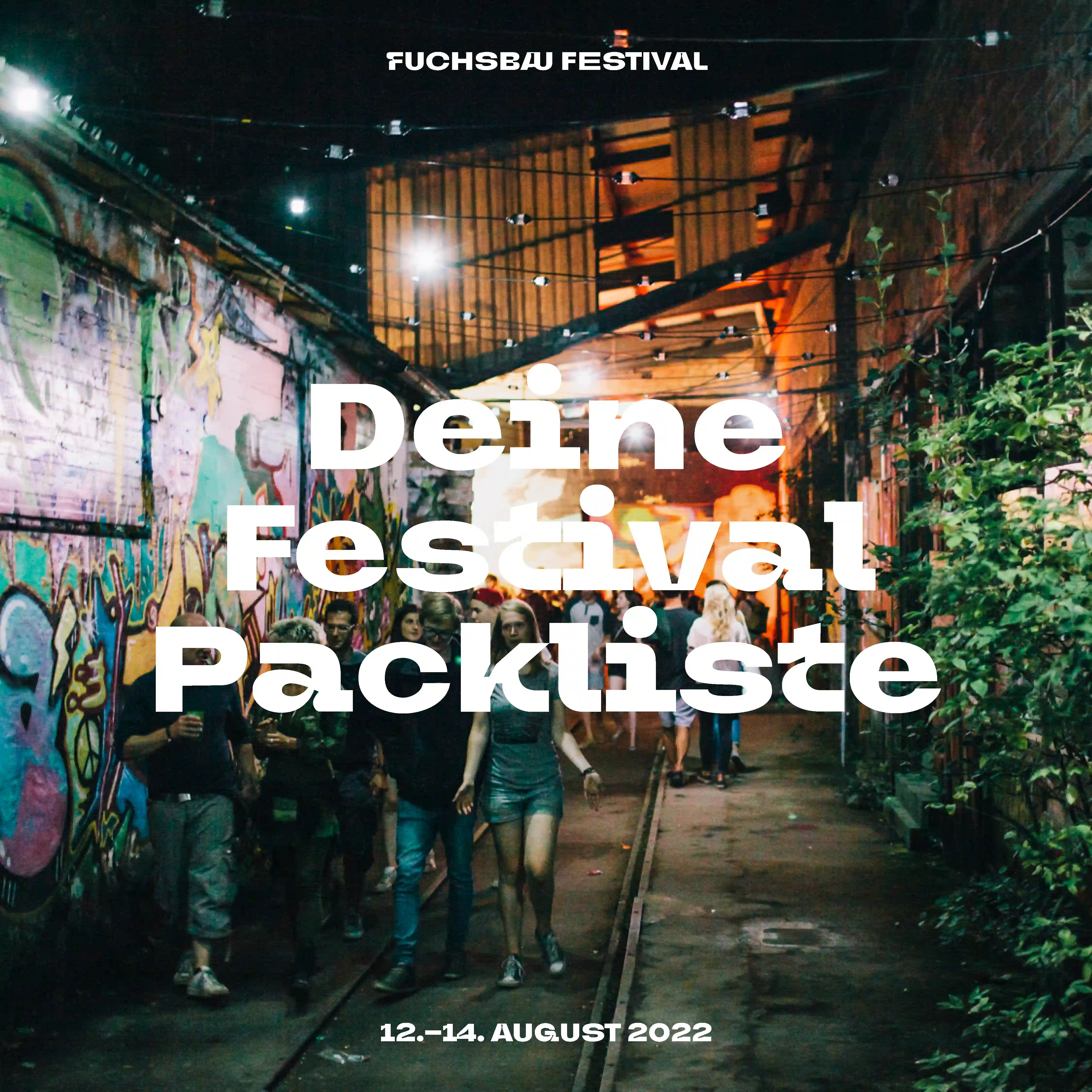 Deine Festival Packliste Grafik für Social Media