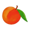 images_edited_edited_edited.png