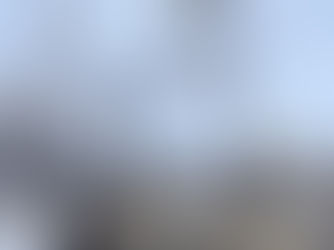 Why Winter is the Best Time for Tree Services in Minnesota