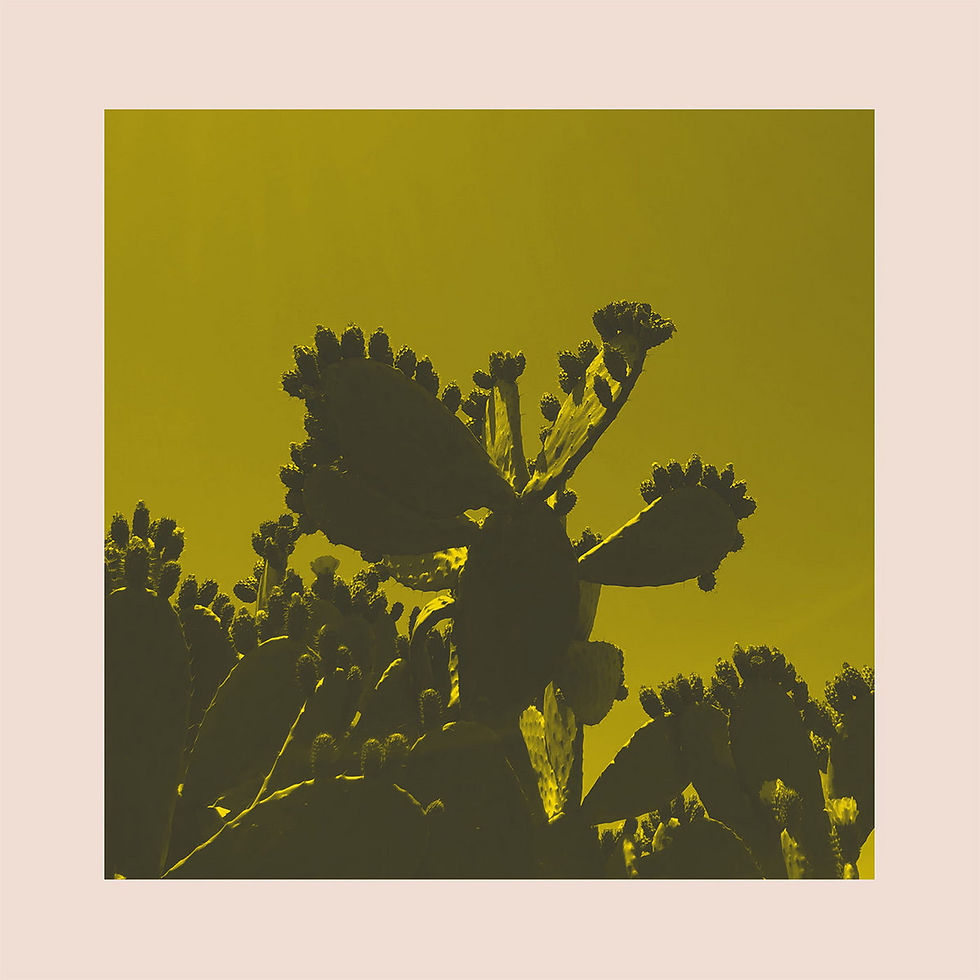 Bright & Findlay – Slow Dance [12]
