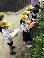 IMG_2809.JPG