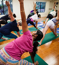 Iyengar-21.jpg