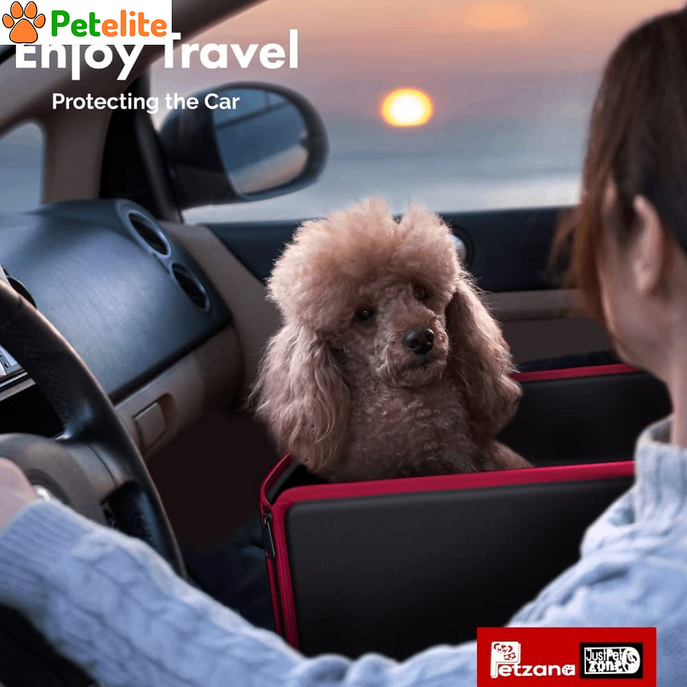 Dog Car Seat with Pet Seat Belt ,Dog Booster Seats (2-In-1)