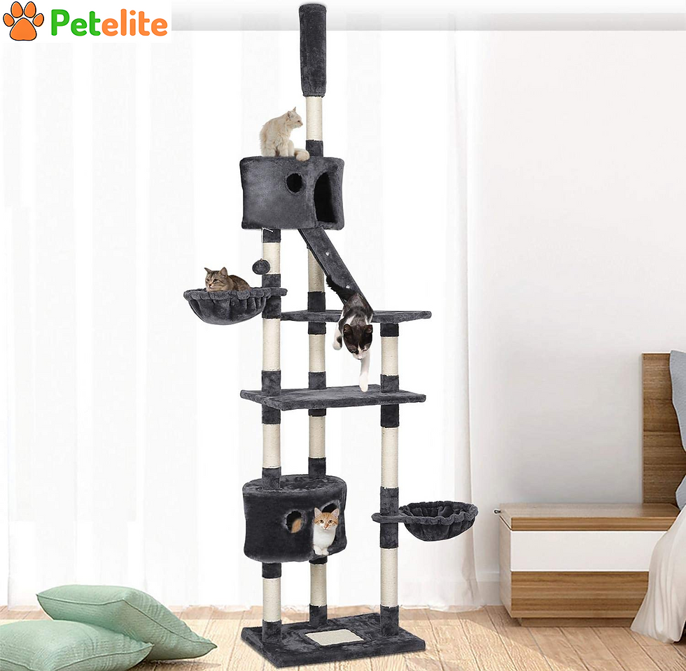 Cat Tree,Adjustable Tall Cat Tower with Condos Baskets | Ladder,Scratching PostCat Tree,Adjustable Tall Cat Tower with Condos