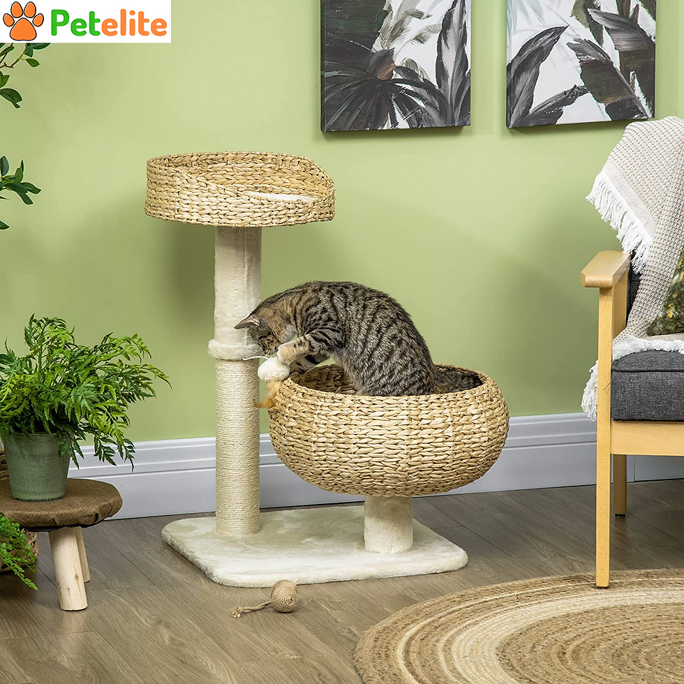 72cm Cat Tree,Kitty Activity Centre,Cat Climbing Toy,Cat Tower W/Two Cattail Bed