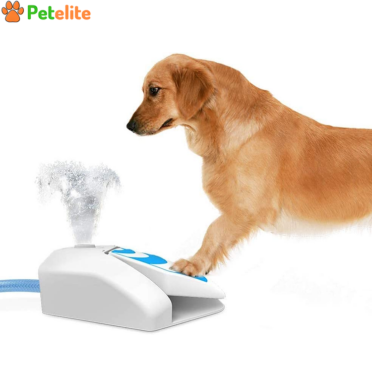 Outdoor Dog Garden Fountain Drinking Water Dispenser,with Connector/ 145cm Horse