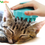 थंबनेल: Ultra Soft Silicone Deshedding Tool for Cat & Dog with Short & Long Hair