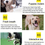 Miniature : 10 Pcs Dog Toys Puppy Chew Toys 8 Weeks+ Dog Rope Toys 100% Natural Cotton Rope