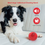 Miniature : Dog Chew Ball Toy 7cm Durable Rubber Spiky Ball for Aggressive Chewers Floatable
