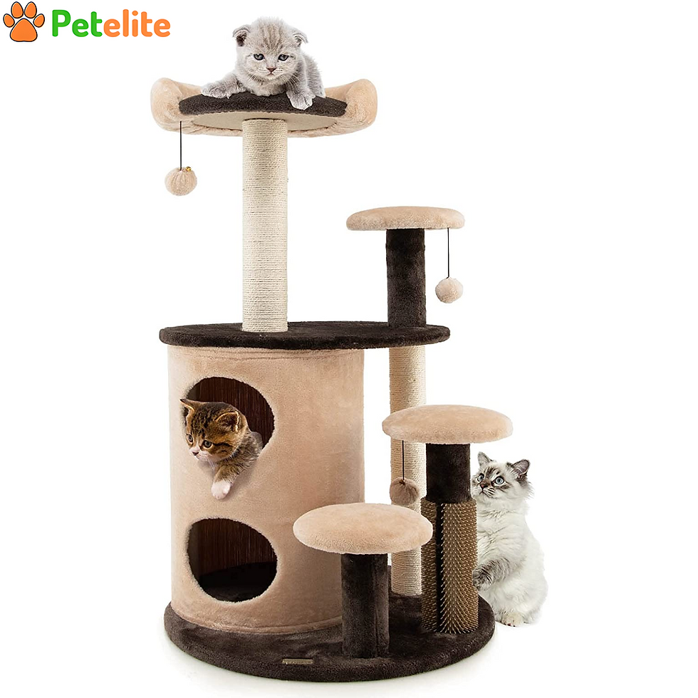 Cat Tree, Multi-Level Kitty Climbing Tower with 2-Tier Cat-Hole Condo