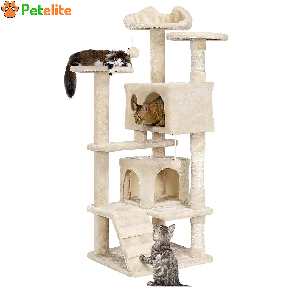 Cat Tree Scratching Posts Cat Tower Activity Centre,House with Ladder for Cats